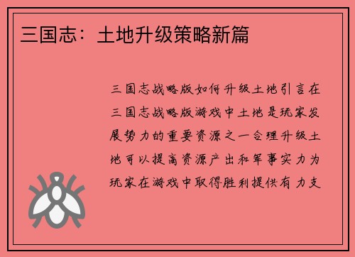 三国志：土地升级策略新篇